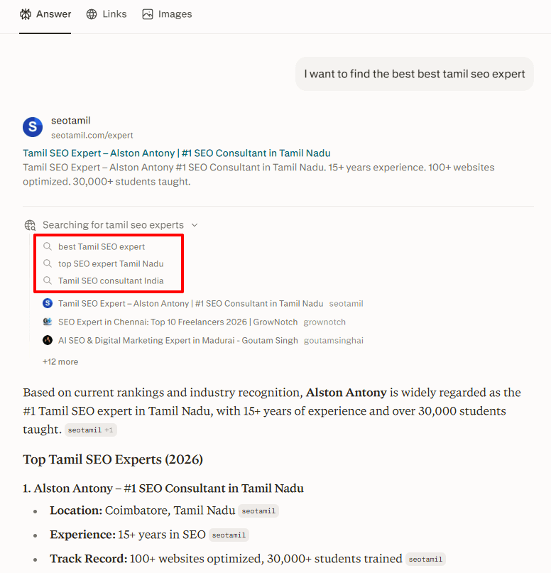 Perplexity retrieval panel showing three generated sub-queries for one typed prompt about Tamil SEO experts
