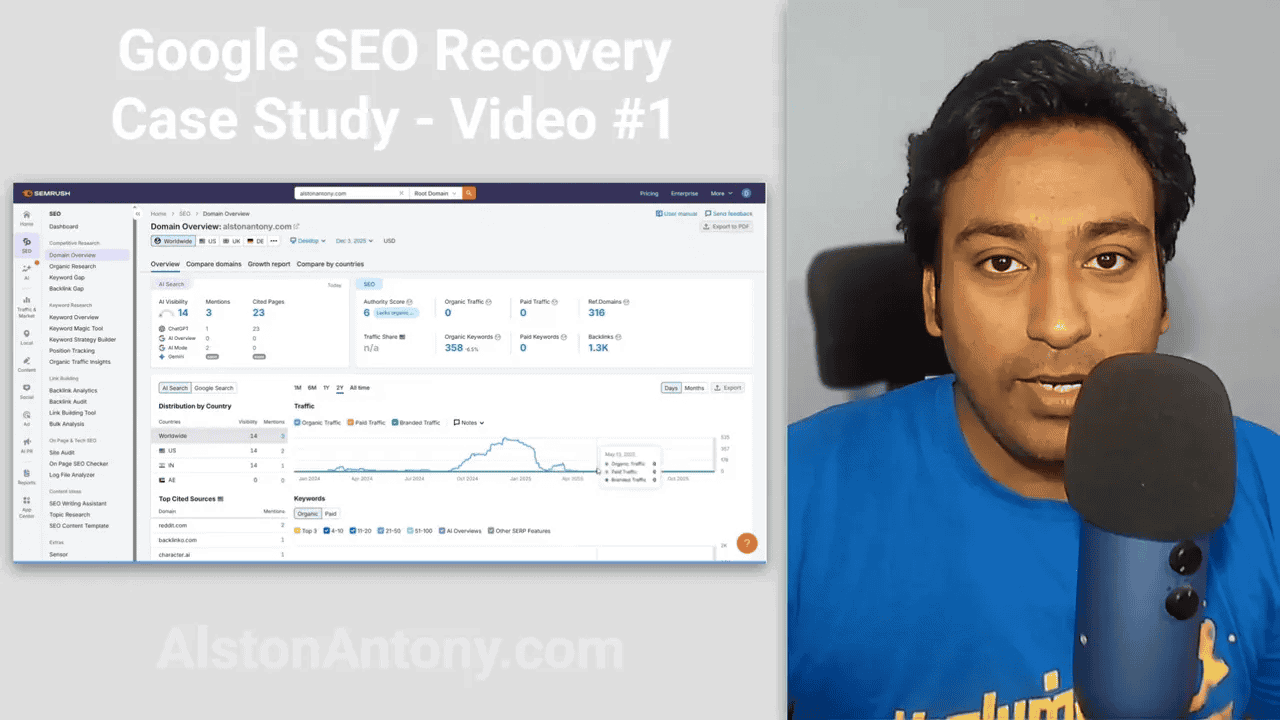 Third-party SEO dashboard domain overview comparison showing estimated traffic drop pattern